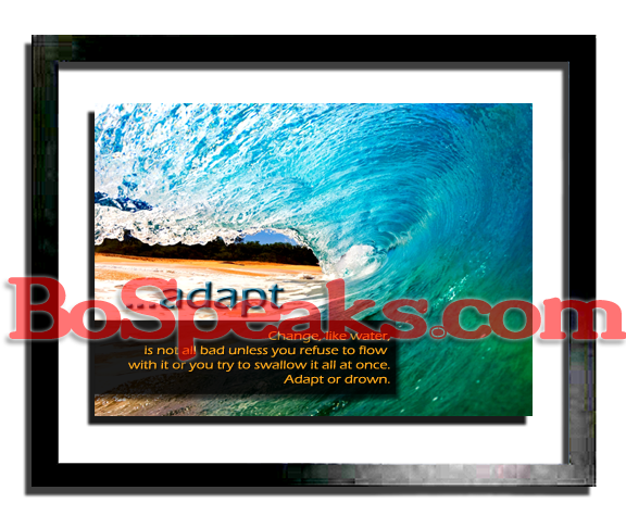 ...adapt (motivational print)